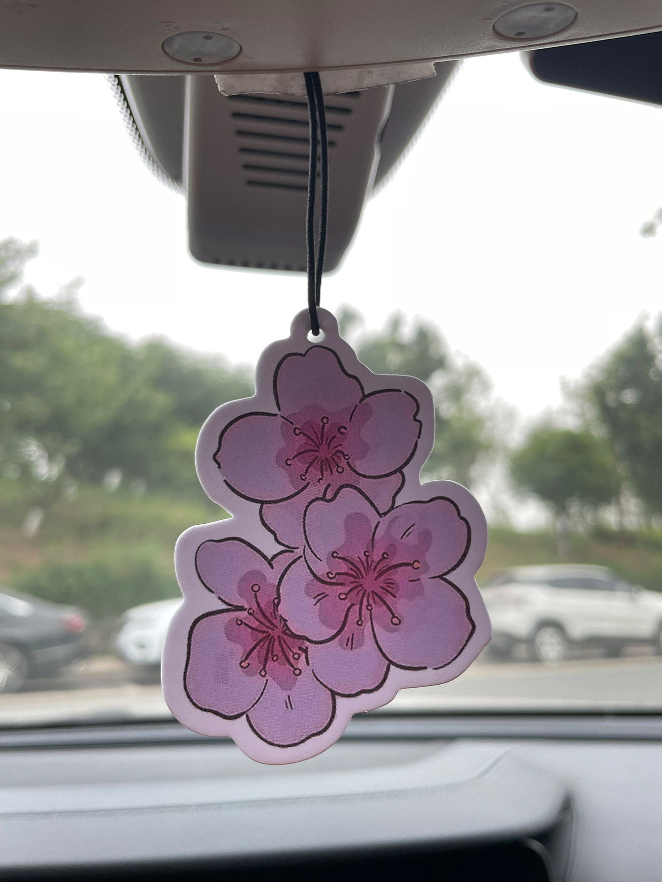 Sakura/Freesia Fresh Scent Fiv - Home Fragrance Types review and price