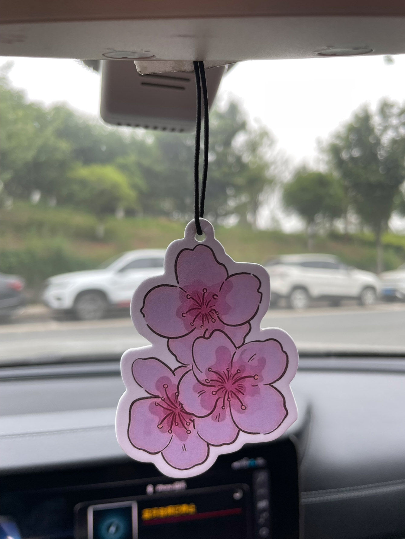 Sakura/Freesia Fresh Scent Fiv - Home Fragrance Types review and price